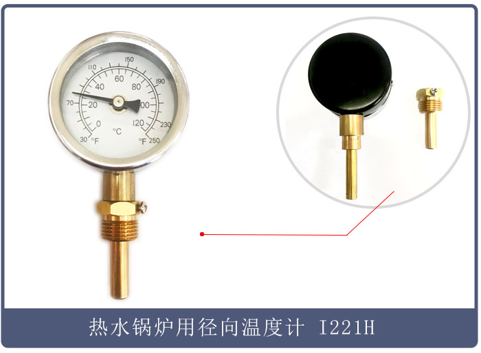 熱水鍋爐用徑向溫度計(jì) I221H (3).jpg