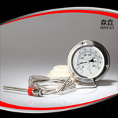 壓力式溫度計 型號:400RF12122 壓力式溫度計 型號:400RF12122