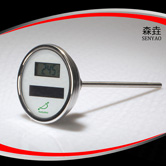 軸向太陽能電子溫度計 型號:DSTT300 軸向太陽能電子溫度計 型號:DSTT300
