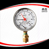 溫度壓力一體表  型號：WHT-20