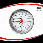 溫度壓力一體表  型號：WHT-20T